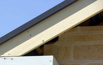 Trinity fascia repairs