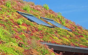 Trinity living roof systems