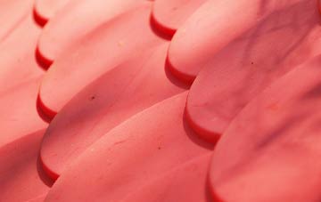 Trinity plastic roof costs