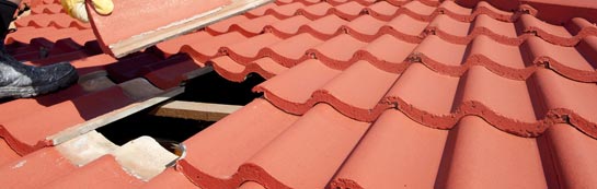 compare Trinity roof repair quotes