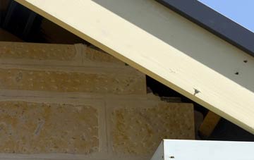 soffit repair Trinity
