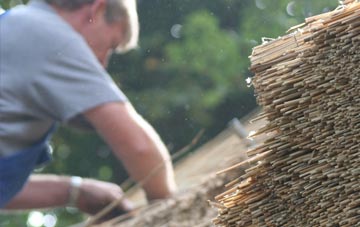 professional Trinity thatchers