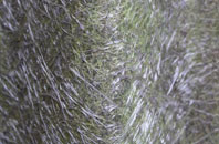 Trinity fibreglass roof work